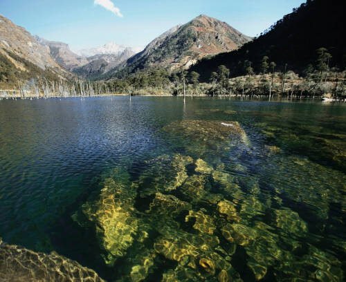 Meghalaya Tour Package 4 Nights 5 Days
