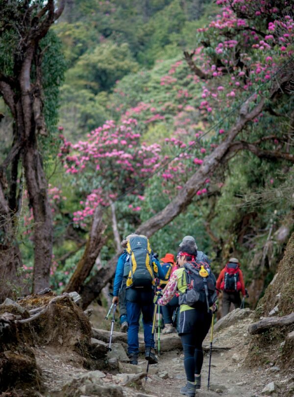 Wari Chora trek