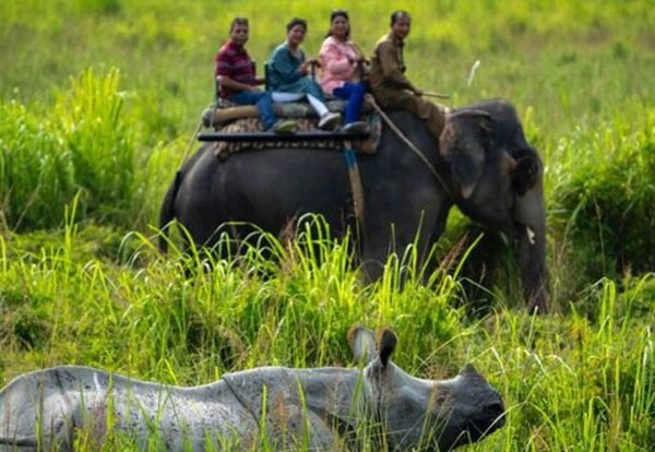 Assam Pobitora Wildlife Sanctuary