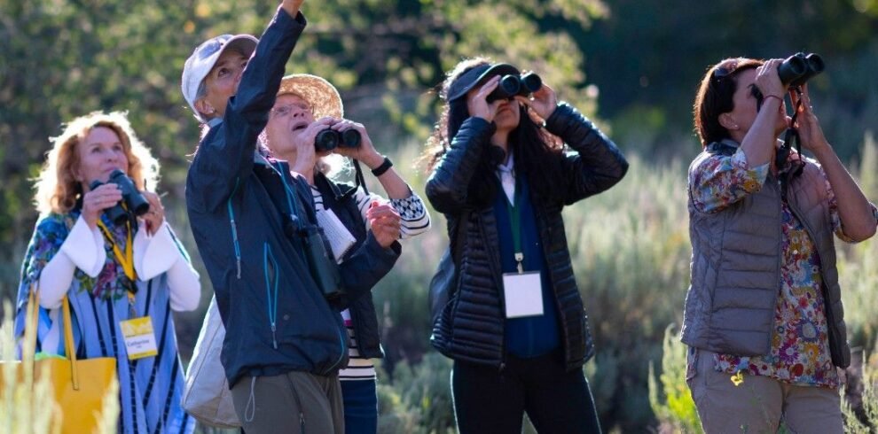 bird watching